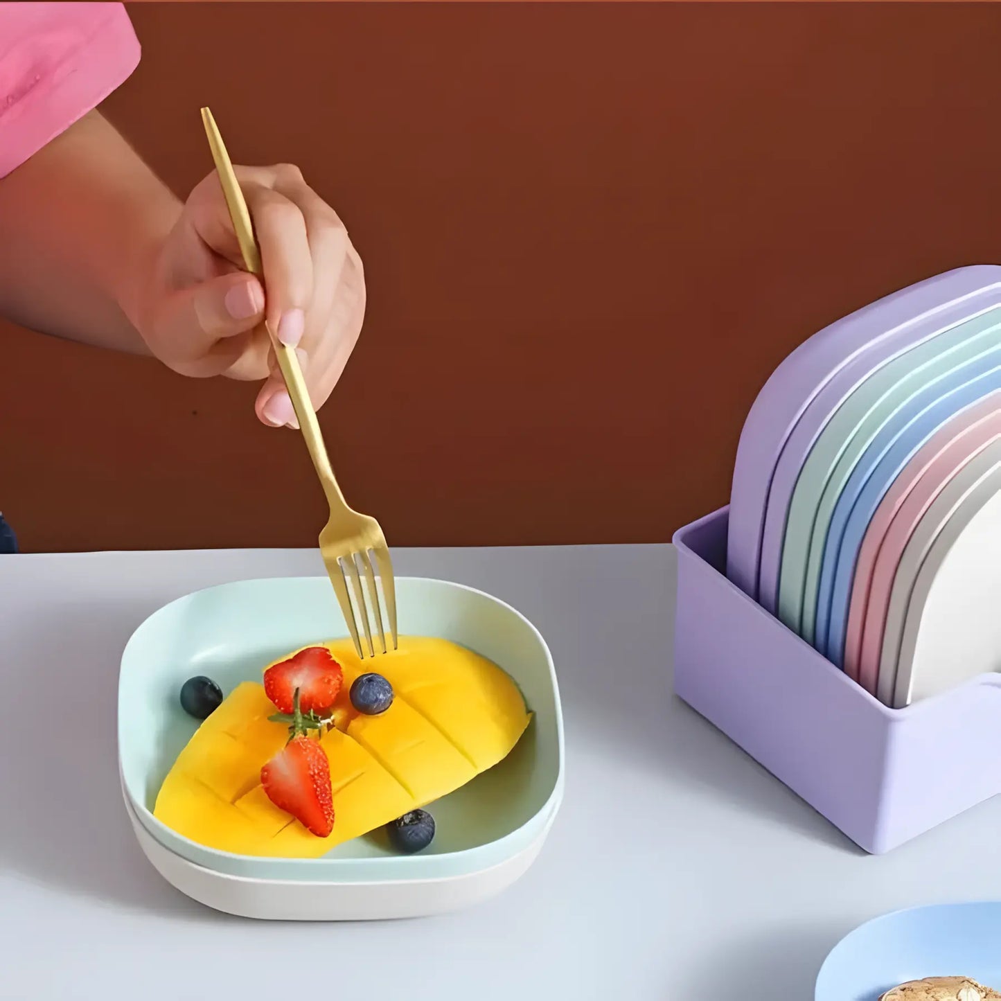 10Pcs Premium Multicolor Plates Set With Holder