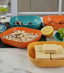 10Pcs Premium Multicolor Plates Set With Holder
